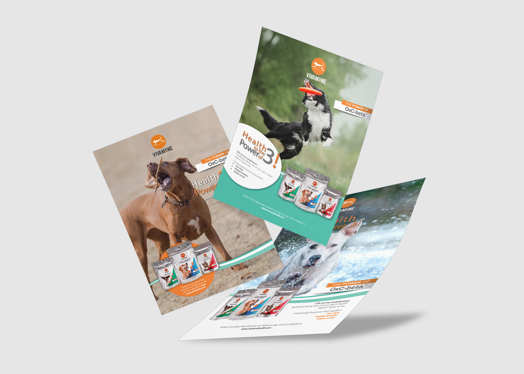 Realizzazioni grafiche del nostro studio | Prupix 91 progettazione volantino