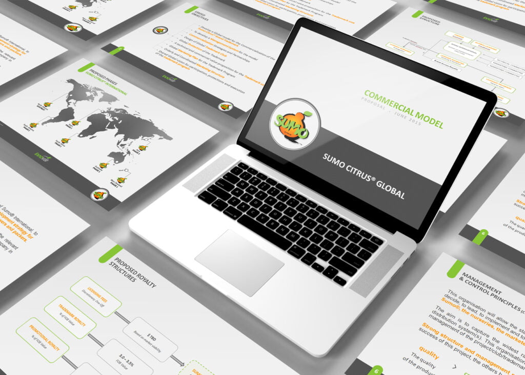 grafica powerpoint aziendale