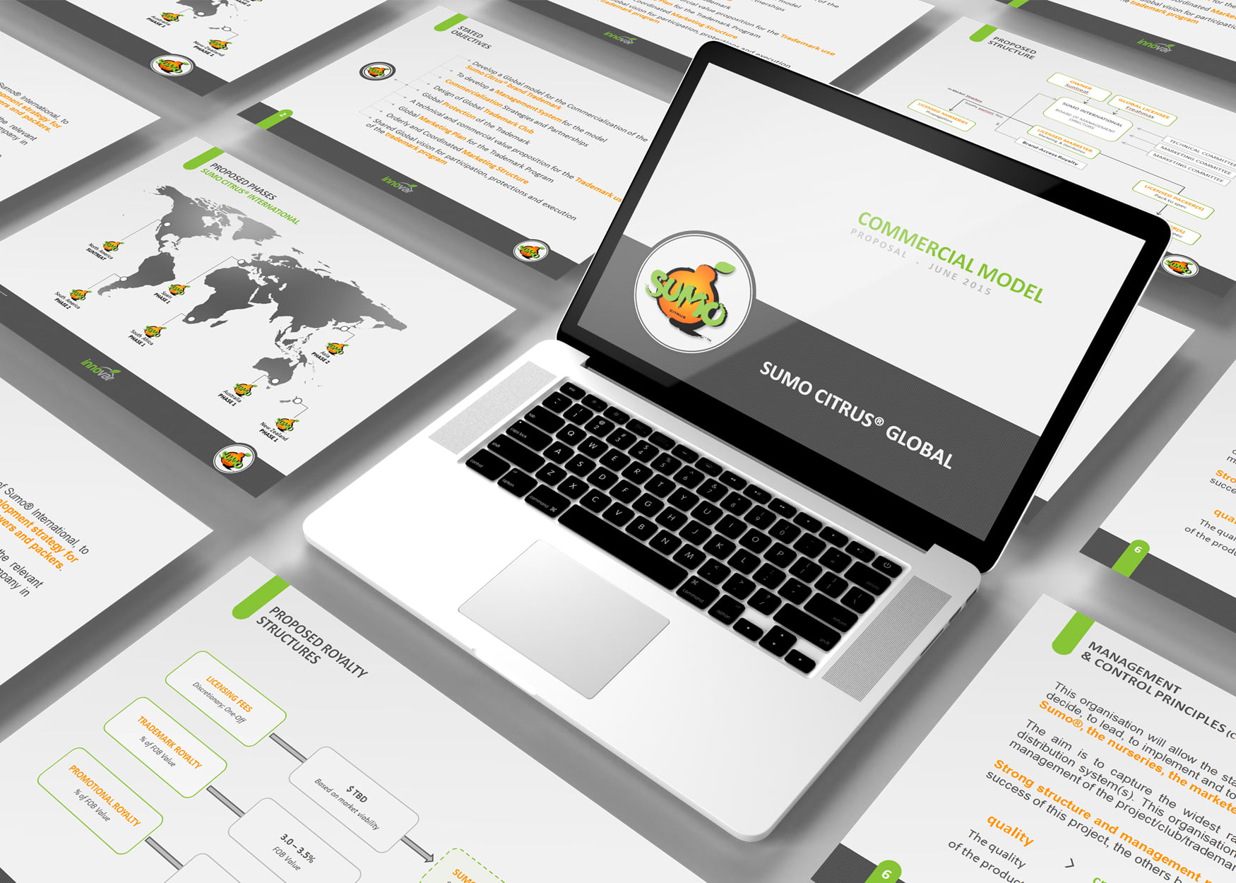 Realizzazioni grafiche del nostro studio | Prupix 29 Realizzazione Presentazione Powerpoint Aziendale