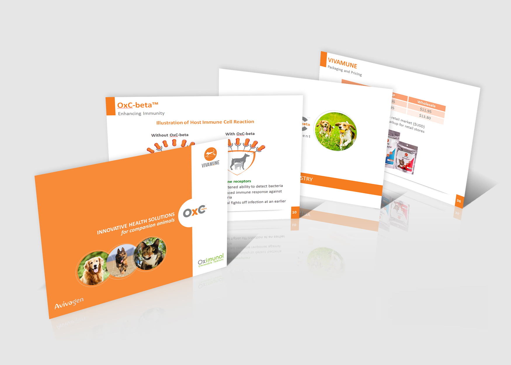 presentazione powerpoint